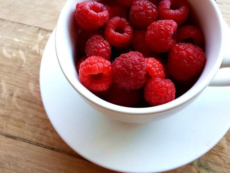Turkey Eggs + Toasted Bread + Afkeido Combo