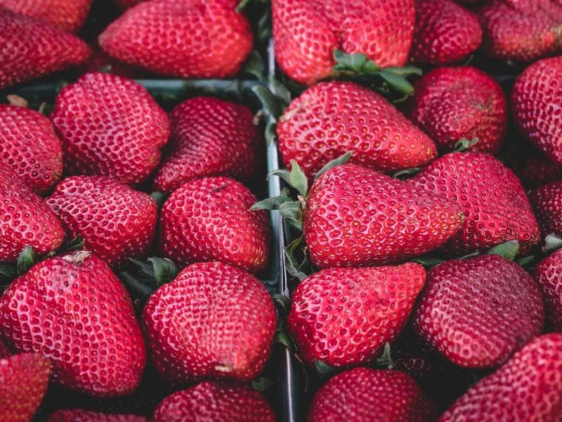 Vegetarian / Vegan Combo